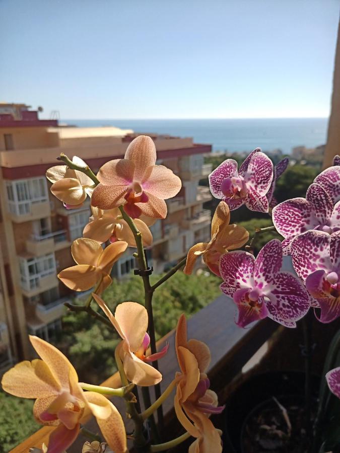 Sweet Home Benalmadena, Estudio Con Vistas Al Mar Y Excelente Conexion Wifi, Para No Fumadores, Con Piscinas, Sea Views, With Swimming Pools, Completely Renovated, Ideal For Older People, Bright With Morning Sun, No Smoking Kültér fotó